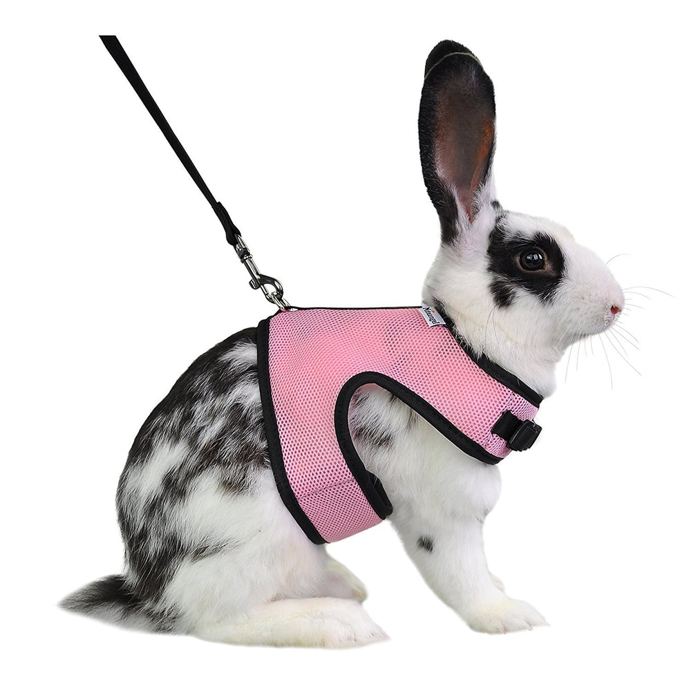 Niteangel adjustable soft harness on a rabbit for secure daily wear.