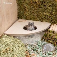 Niteangel Animal Sand-Bath Box see-through acrylic offers quick monitoring of digging activity.
