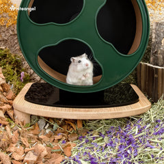 Niteangel bamboo-beech materials close-up highlights durable natural construction