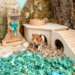 niteangel birch chamber-maze hamster hideout roof ramp view reinforces dual-use play and rest.