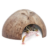 Niteangel coconut hideout placed in terrarium for privacy
