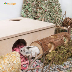 Niteangel dwarf hamster exploration tunnel durable wooden play space