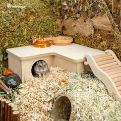 Niteangel compact dwarf hamster home sized for small cages and snug fit.