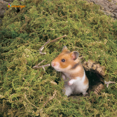 Niteangel forest moss bedding in hamster cage promoting digging and hiding behavior
