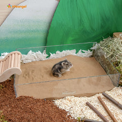 Niteangel hamster bath time with desert sand demonstrates calm grooming routine.