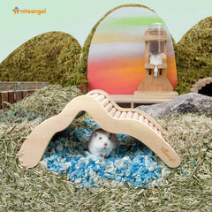 Niteangel hamster climbing bridge ladder assembled view demonstrates multi use design for hideouts and access.