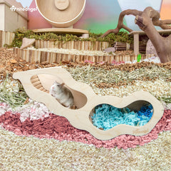 Niteangel hamster house climbing ladder image highlights built-in exercise and balance practice