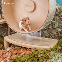 Niteangel medium platform fits Cloud Series wheels for stable height