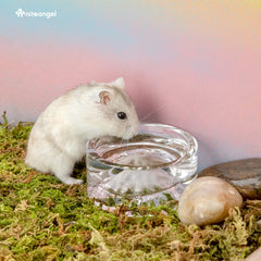 Niteangel Mount Fuji glass close-up emphasizes chew-proof construction and clarity.