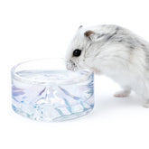 Niteangel Mount Fuji glass water bowl close-up for easy drinking posture.