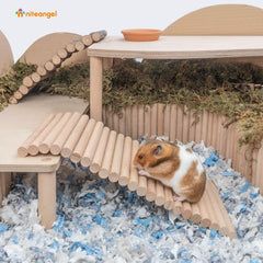 Niteangel multi-functional decor accessory demonstrates versatile use as ramp or hideout.