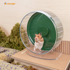 Niteangel super-silent hamster wheel dual-ball-bearings ensure smooth, near-silent spins.