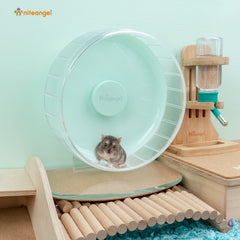Niteangel Super-Silent Wheel adjustable height demonstrates versatile habitat setup.