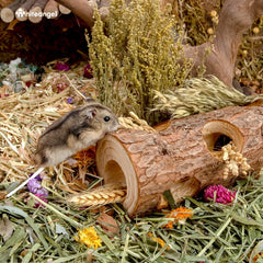 Niteangel tunnel stuffed with treats interactive enrichment for inquisitive pets