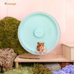 Niteangel wide-running-track hamster wheel supports natural sprinter posture for comfortable movement.