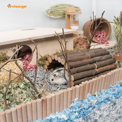 Niteangel wooden ladder bridge bent into curved shapes to fit cage spaces