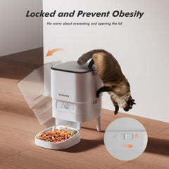 Nityers automatic-feeder stainless-bowl ensures hygienic, easy-to-clean meals.