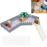 Niuohoy hermit-crab L-shaped platform with ladder for habitat enrichment and climbing play.