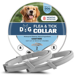 NJKPUYT flea and tick collar for dogs two-pack offers long-lasting protection and easy wear
