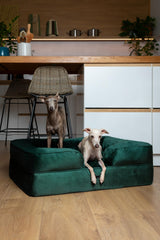 NOAH & PAW Large Dog Bed eggshell cooling gel foam keeps surface cool.