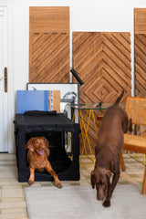 Noah & Paw stainless-steel frame detail emphasizes durability during rugged trips.