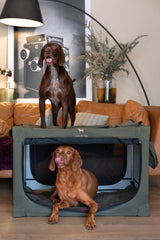 Noah & Paw collapsible dog crate door with secure mesh for airflow.