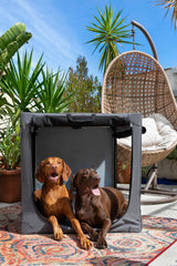 Noah & Paw crate frame closeup emphasizes stainless-steel build and reinforced joints