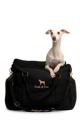 Noah & Paw dog car seat carrier front view for secure travel