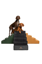 Noah & Paw dog stairs bed 20 wide side view for easy bed access and stability.