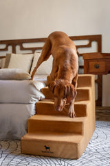 Noah & Paw dog stairs leather collection close-up reveals 35 foam density for durable support.