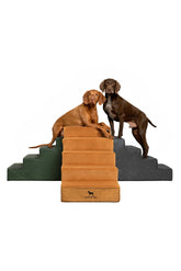 Noah & Paw dog stairs leather collection side view shows 5-step design ideal for high beds.