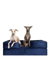 NOAH & PAW large dog bed outer cover closeup shows plush velvet for cozy lounging