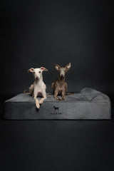 NOAH & PAW Velvet Collection inner cover displayed for easy washing