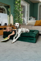 NOAH & PAW XL bed cooling gel keeps the surface comfortable during warm days