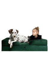 NOAH & PAW XL bed memory foam core provides orthopedic support for large dogs
