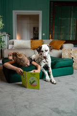 NOAH & PAW XL bed waterproof outer cover ideal for spills