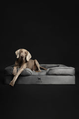 NOAH & PAW XL inner cover providing added protection and durability
