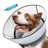 NoarWin 2-in-1 inflatable dog cone with detachable shield, comfortable recovery aid