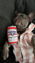 Nocciola beer can dog toy—fetch-friendly with squeaker and crinkle.