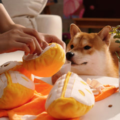 Nocciola Hide and Seek toy sliced segments visible for squeaky engagement.