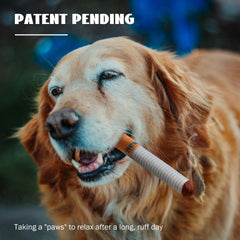 Nocciola interactive plush dog toy in action inspires joyful training moments.