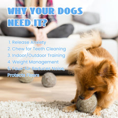 Nocciola Wobble Giggle Ball used indoors and outdoors offers versatile play options.