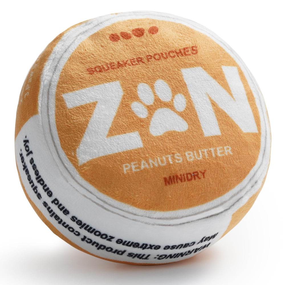 Nocciola ZN blue disc dog toy with squeaker for engaging play.