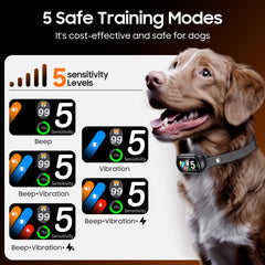 NOIDECE auto bark counter tracks barking for training adjustments