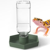 Nomoy reptile water dispenser hexagonal base shown for stable hydration in terrarium.