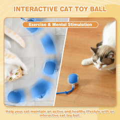 NONENDU interactive cat toy blue side view encourages chasing and coordinated movements.