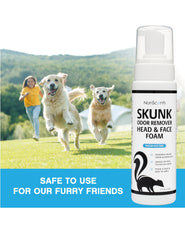 NonScents car-interior-foam removes interior odor without overpowering scents.