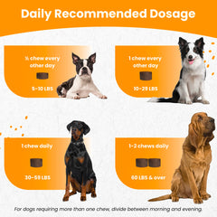 Nootie hip joint chews ingredient label emphasizes high glucosamine, chondroitin, MSM for joint health.
