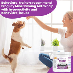 Dog relaxed during travel scene with Nootie Progility Mini Calming for situational support.