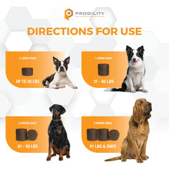 Nootie Progility probiotic dog digestive health photo suggests better nutrient absorption benefits.